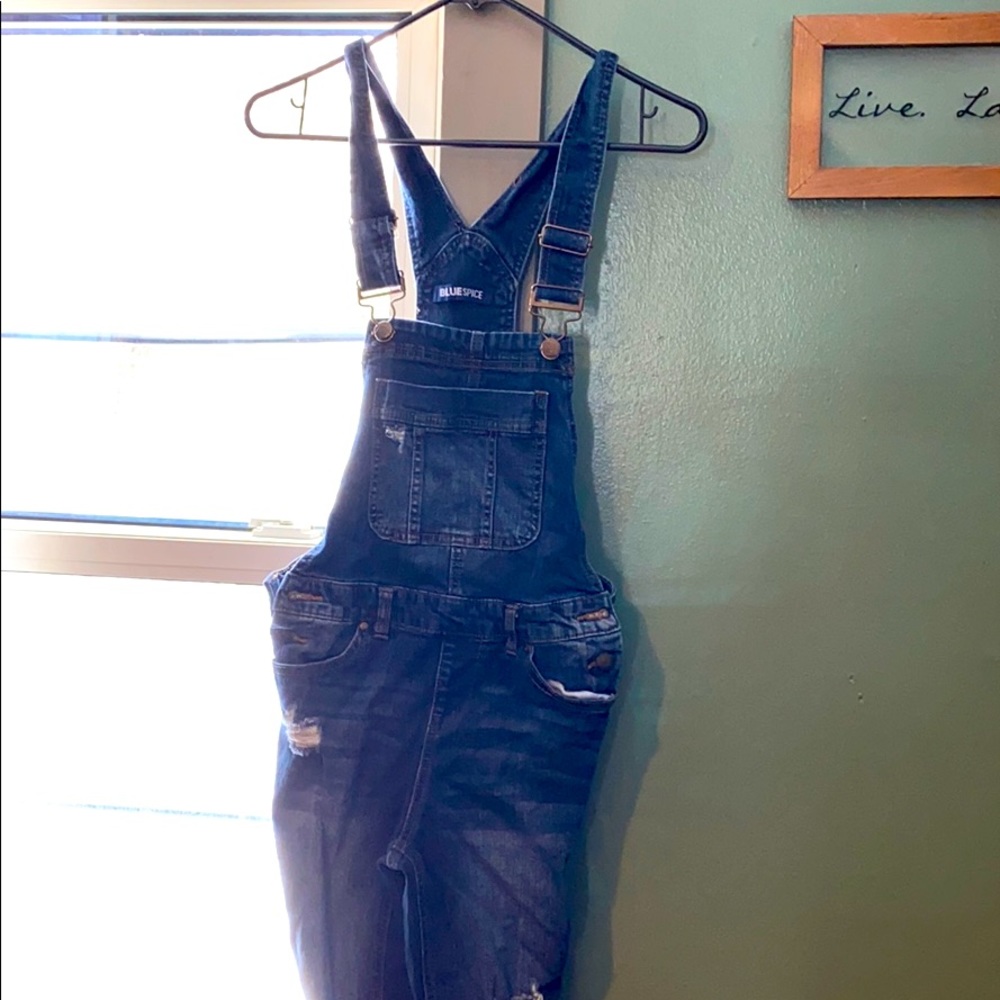 Overall pants
